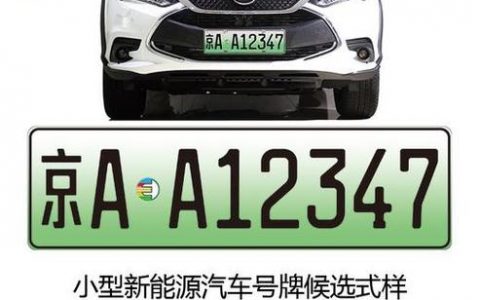一个北京租新能源车牌多少钱一个？怎么在北京租车牌？(北京新能源车牌能租多少钱)